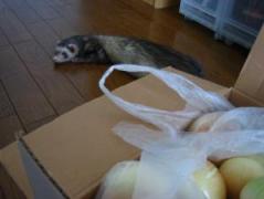 IMG_1748.jpg