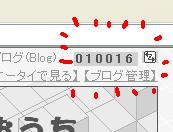 祝10000☆.JPG