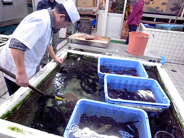 100120 活魚料理　食堂旅館まるは 05
