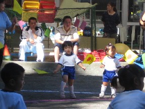 はた.jpg