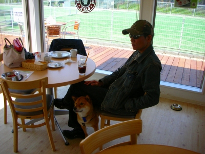 2009 4 731.jpg