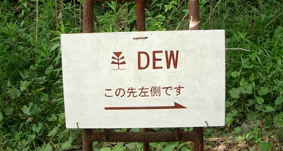 DEWへの道のり