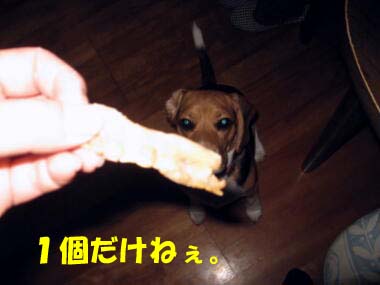 1個だけね！