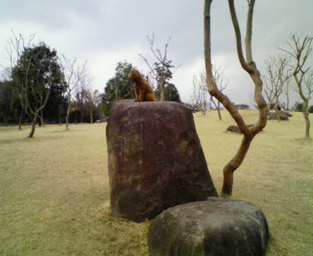 NEC_0080.JPG
