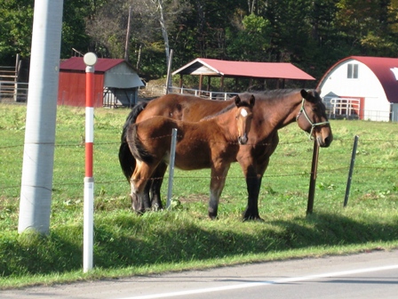 ２００８　秋の旅　030.jpg