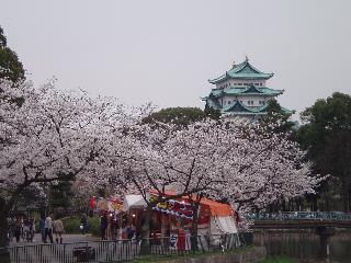 200407-sakura-2.jpg