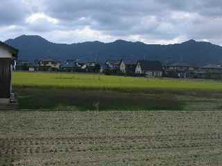 2008/10/1 稲刈り後の田んぼ