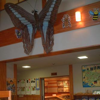 おおみや昆虫館