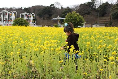 IMG_0705.JPG