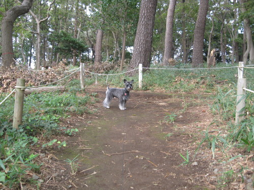 長散歩♪＃５