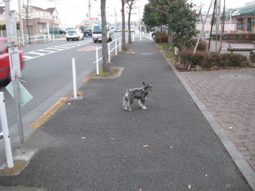 冷え込む前に＃４