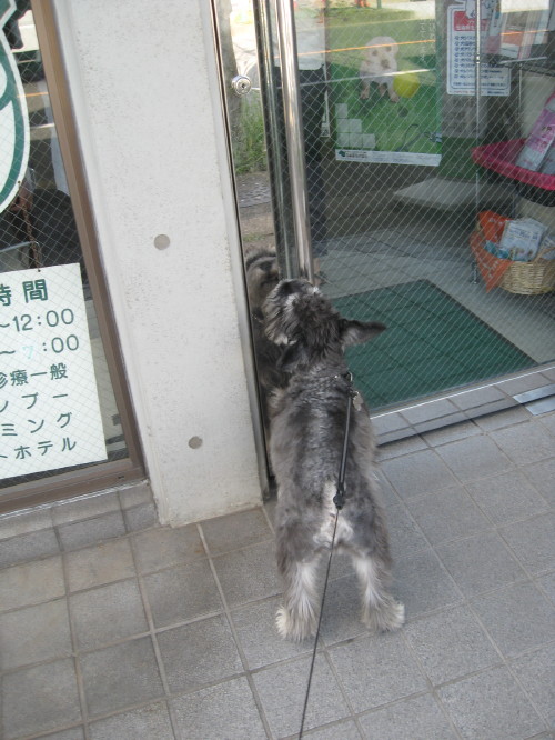 やっと・・・＃６