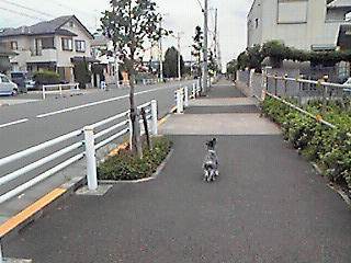 蒸し蒸し＃３