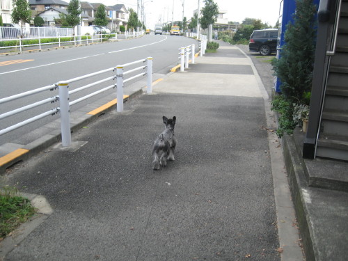 今日はいい感じ♪＃２