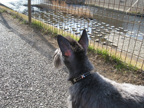 LongWalk#5