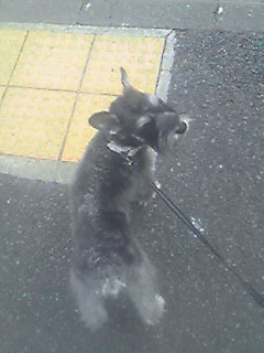 気持ちいいね♪＃４