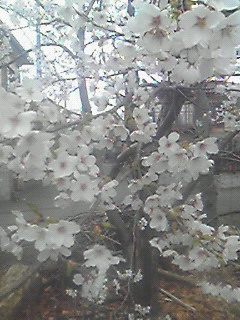 雨が降りそう＃２