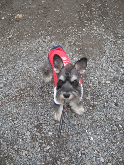 とにかくお散歩♪＃４