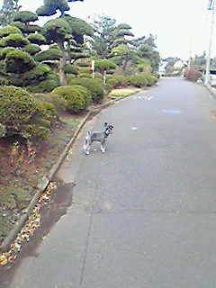 あちこち＃４