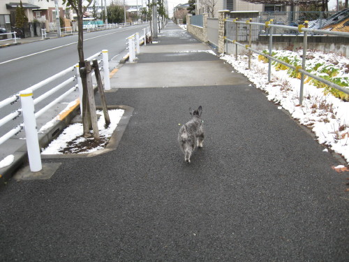ありゃ？＃２