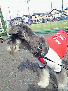お出かけ