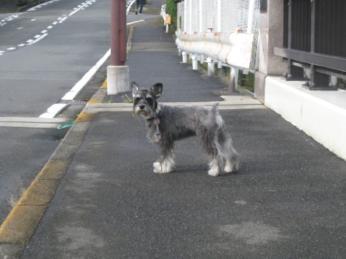 晴れ間が♪＃３