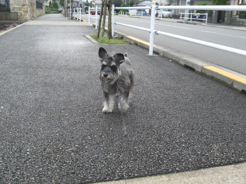 晴れ間が♪＃５