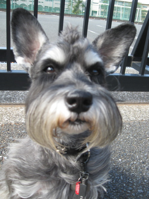 カラッと♪＃２