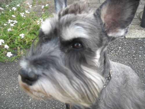 カラッと♪＃３