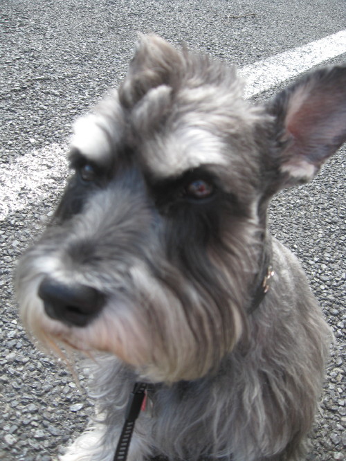 カラッと♪＃４