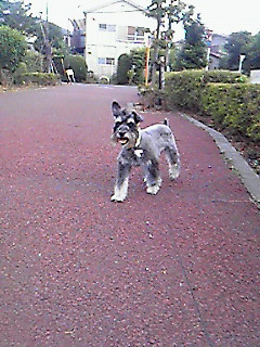 夕方も^^v＃３