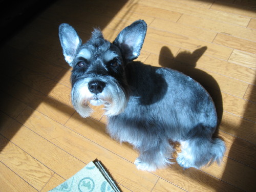 ぶらっしんぐ♪＃２