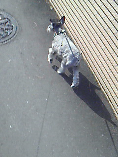 今日も快晴＃３