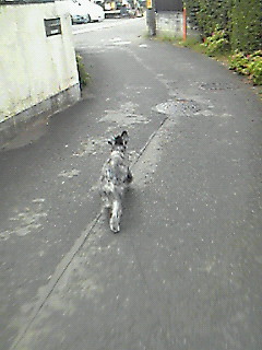 雨上がり＃２