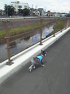 陽射し!?＃５