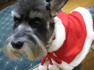 Merry Xmas ＃３