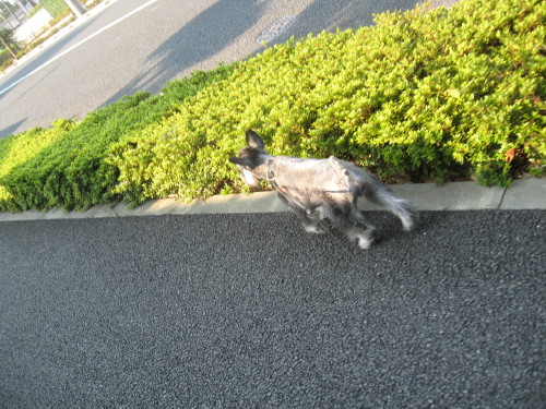 今日も暑いね＃６