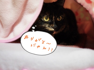 感謝してる～??.JPG