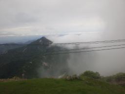 NEC_0020.JPG