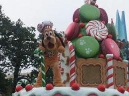 20111208_172731.jpg