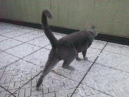 20111217_165047.jpg