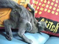 おお～（トッポ）