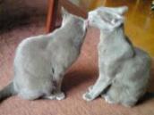 PHOTO188.JPG