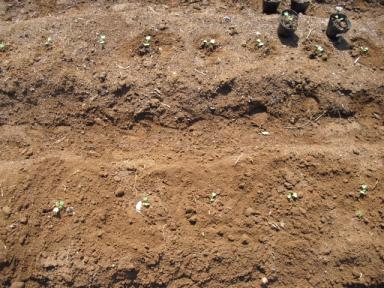 CIMG0421.JPG