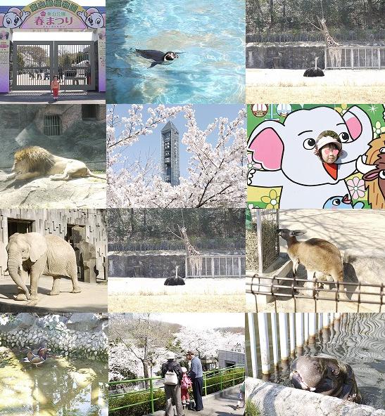 zoo.jpg