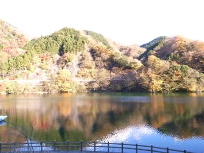 LOVERSINDIA弁当箱とマラソン