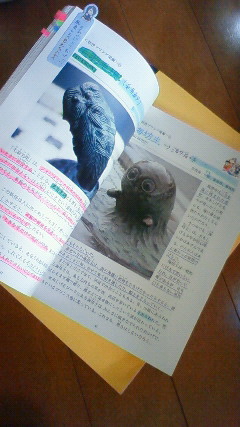 妖怪検定の教科書