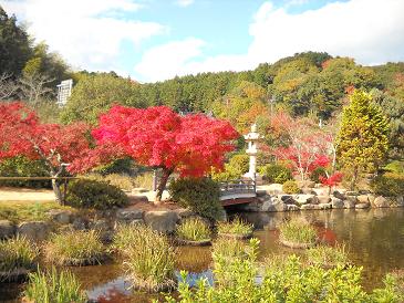 東行庵　紅葉