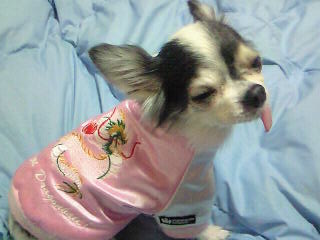 龍のスカジャンで…