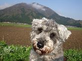 2010_05050119.JPG